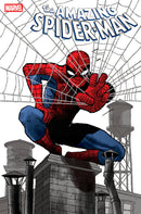 Amazing Spider-Man