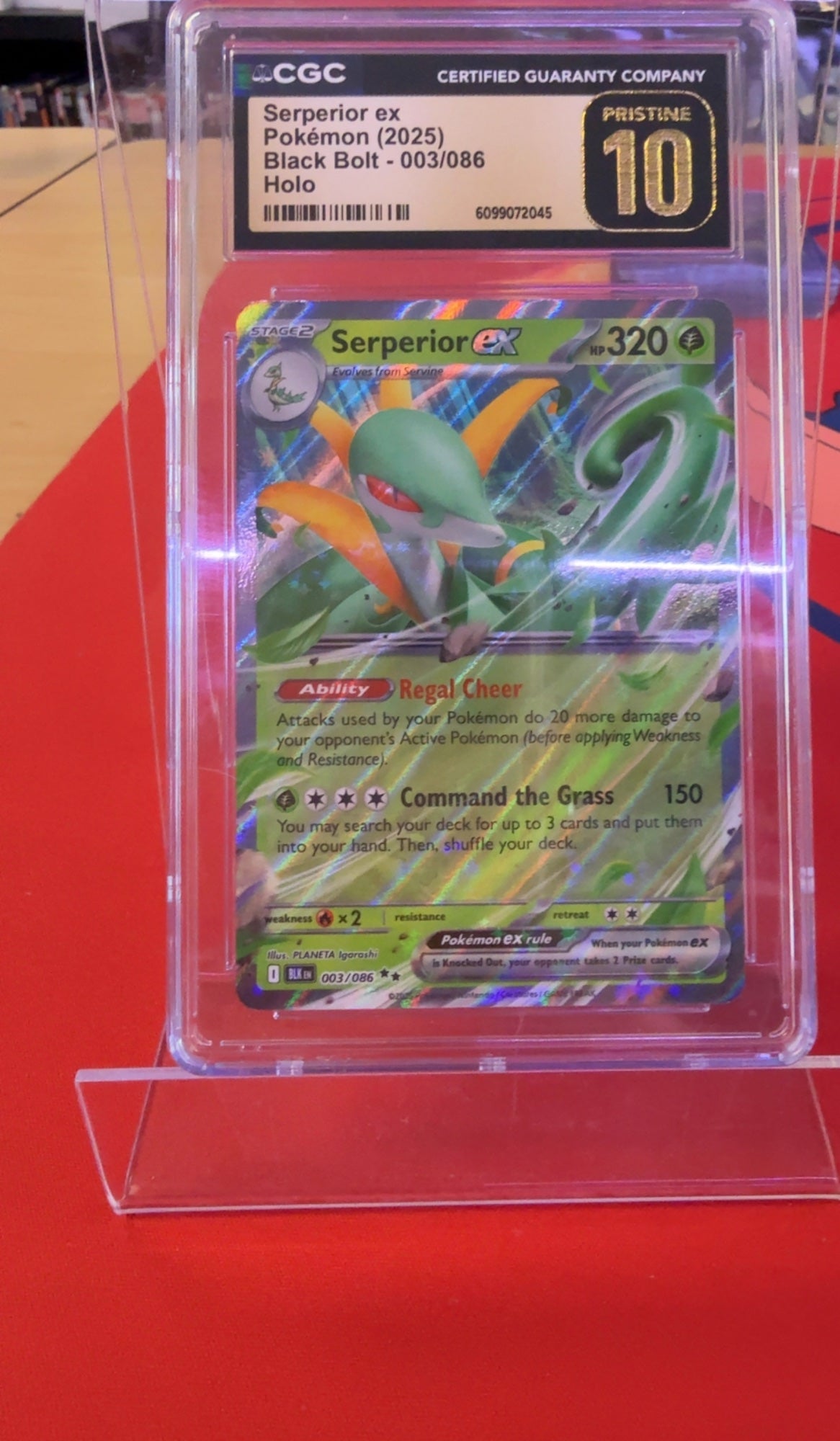 Serperior ex CGC 10 PRISTINE Pokemon Black Bolt 003/086 Holo 2025