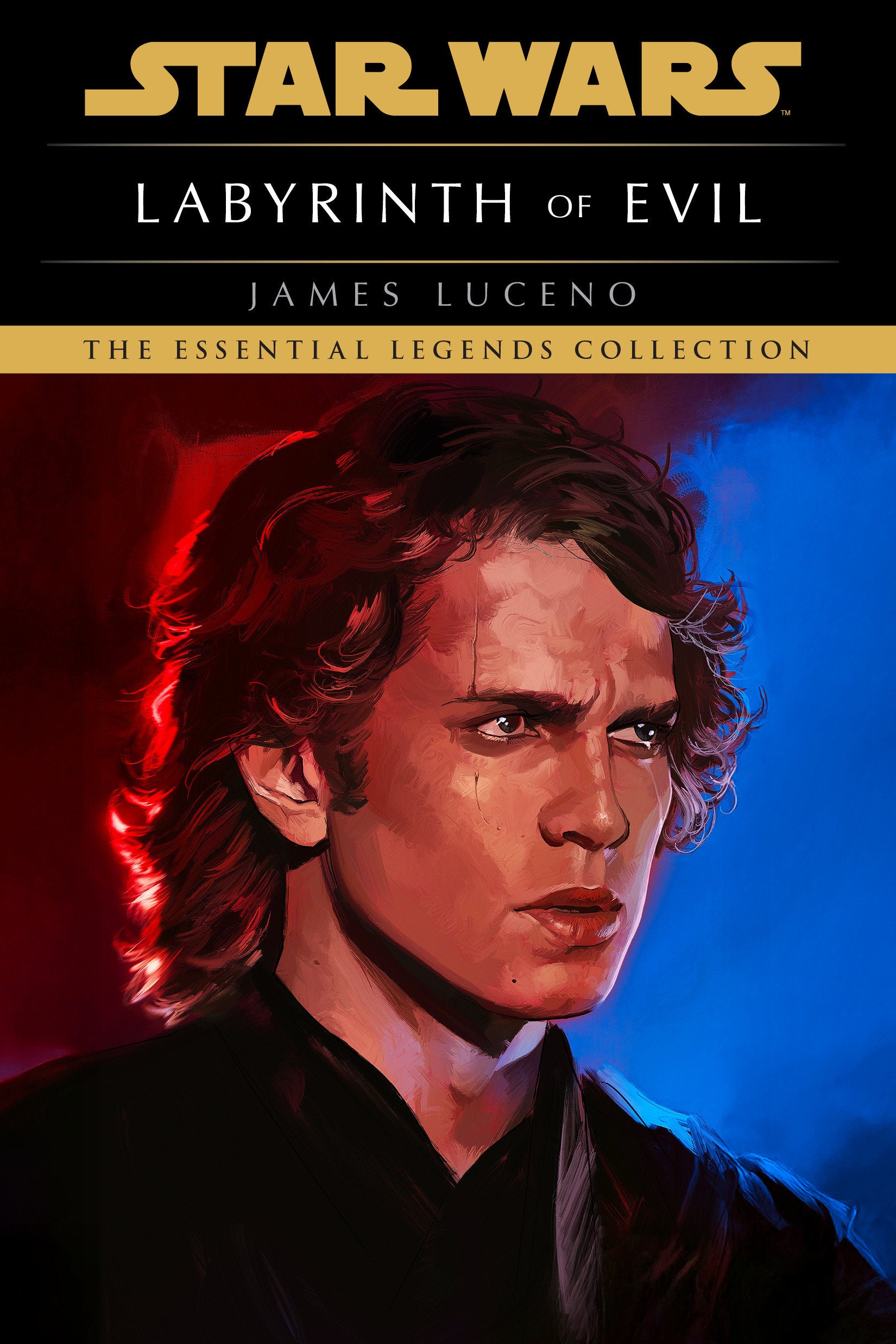 Labyrinth Of Evil: Star Wars Legends