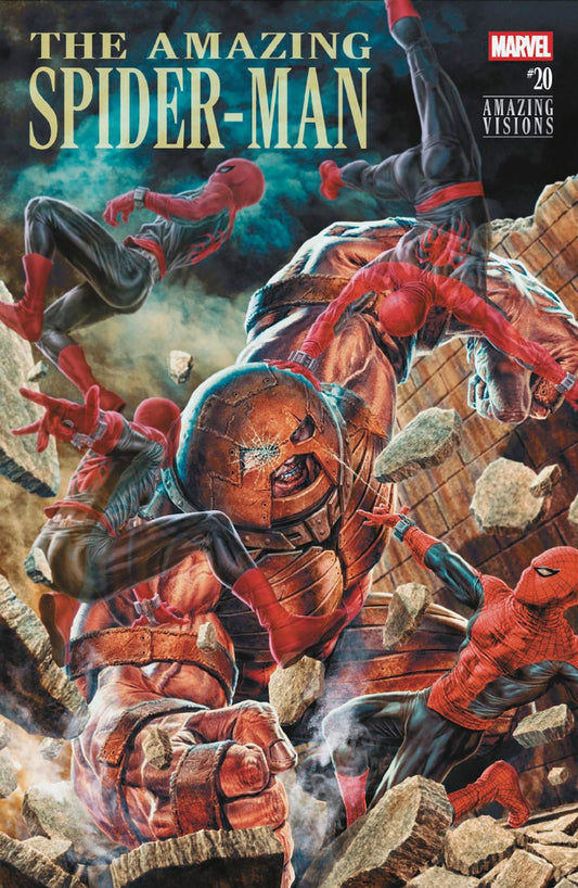 Amazing Spider - Man 20 Lee Bermejo Amazing Visions Variant - Cadets Toys & Comics
