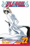 Bleach, Vol. 22
