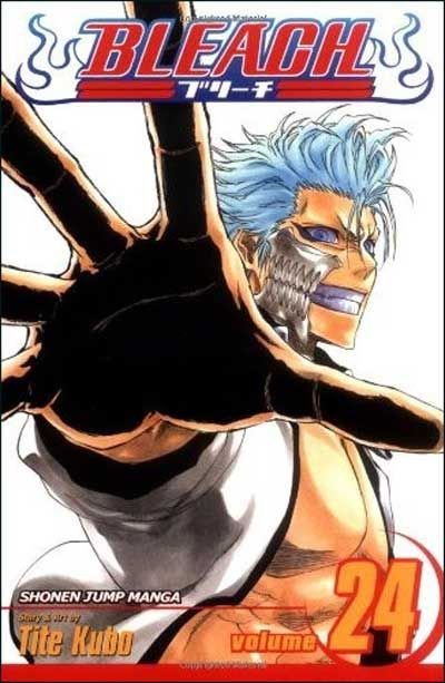 Bleach, Vol. 24