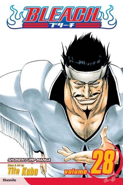 Bleach, Vol. 28