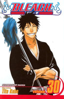 Bleach, Vol. 30
