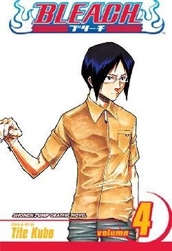 Bleach, Vol. 4