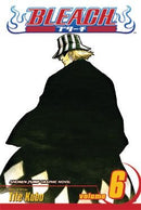 Bleach, Vol. 6