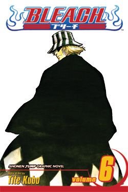 Bleach, Vol. 6
