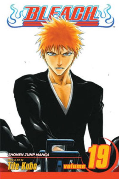 Bleach Vol bleach-volume-19
