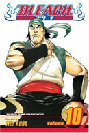 Bleach Vol ume 10