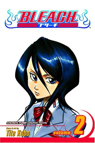 Bleach, Vol. 2