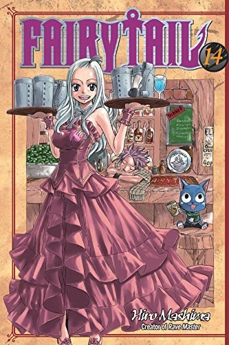 Fairy Tail Vol 14