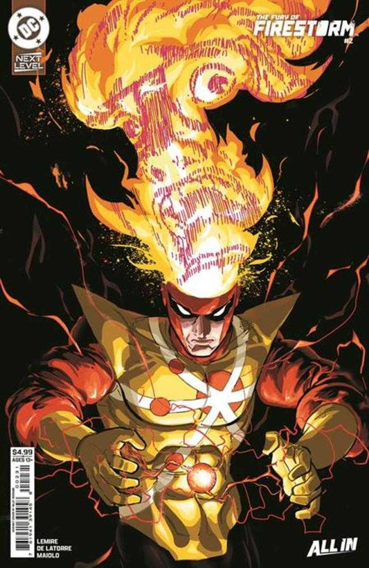 Fury Of Firestorm 2 (Of 6) Cover C Riley Rossmo Card Stock Variant - Cadets Toys & Comics