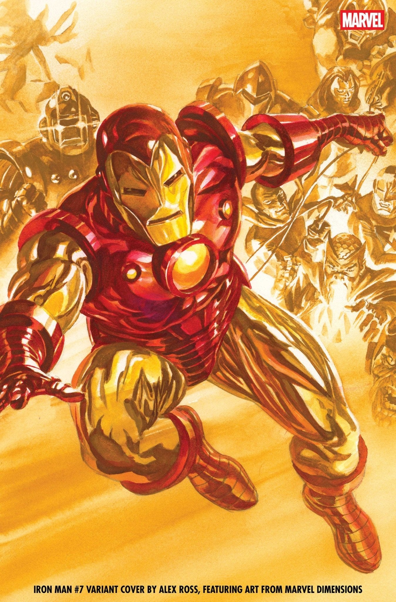 Iron Man 7 Alex Ross Marvel Dimensions Variant - Cadets Toys & Comics
