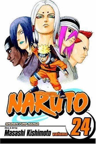 Naruto Vol. 24: Poco ortodoxo