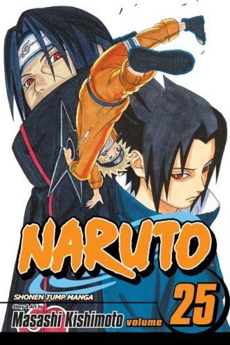 Naruto Vol 25: Brothers