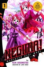 ¡Négima! Magister Negi Magi, vol. 1