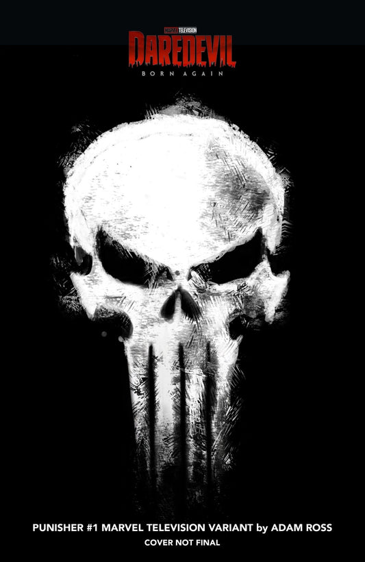 Punisher 1 Adam Ross Marvel Television Logo Variant - Cadets Toys & Comics