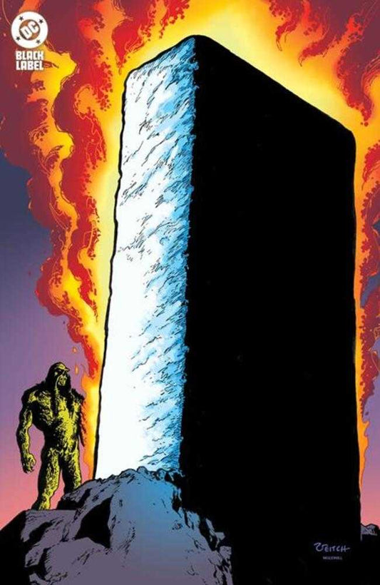 Swamp Thing 1989 3 (Of 4) Cover B Rick Veitch Foil Variant (Mature) - Cadets Toys & Comics