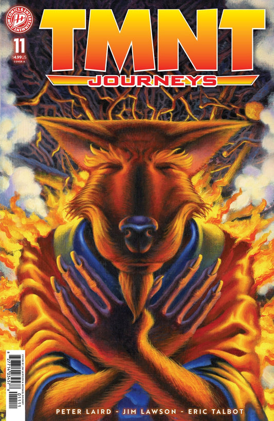 Teenage Mutant Ninja Turtles: Journeys 11 Cover A (Dooney & Lawson) - Cadets Toys & Comics