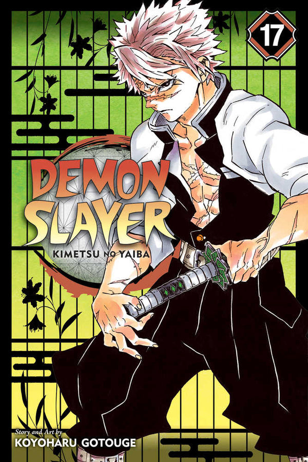 Demon Slayer Kimetsu No Yaiba Graphic Novel Volume 17